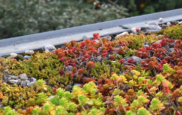 the cost of Waterston green roof installation