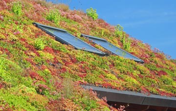 Waterston living roof systems