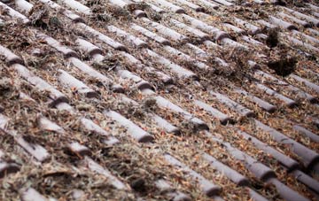 Waterston roof cleaning companies