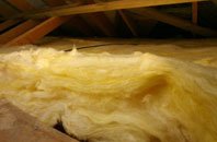 Waterston pitch roof insulation